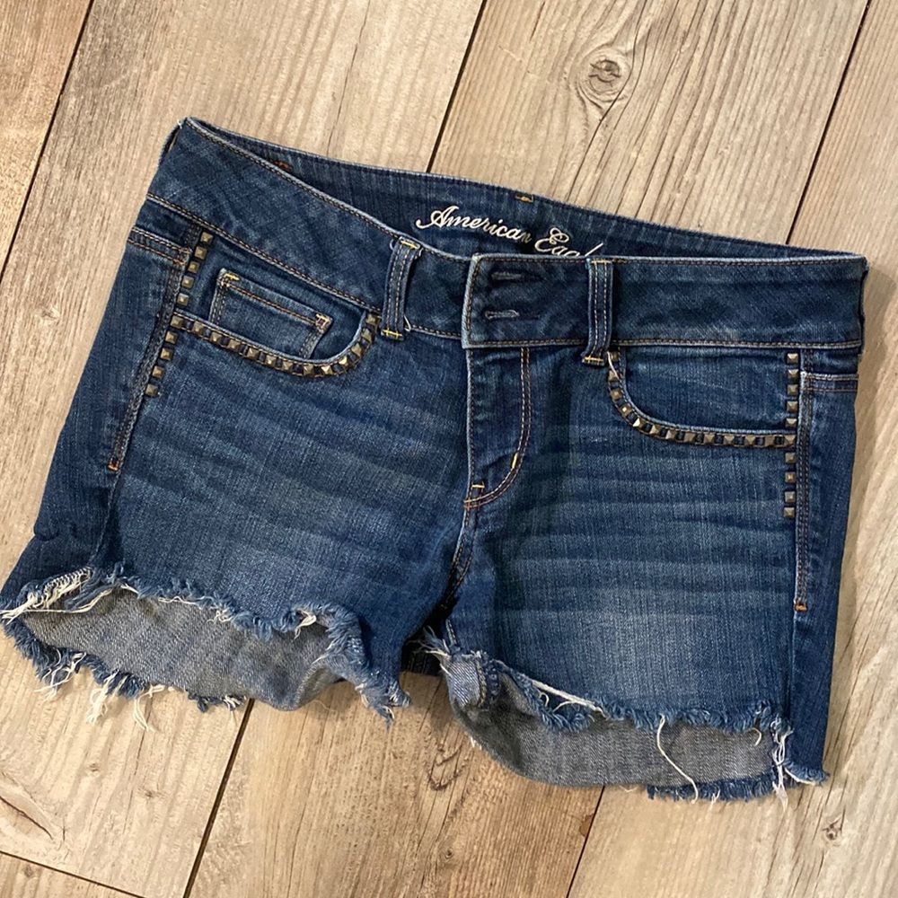 American Eagle Artist Size 10 Shorts